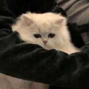 [Баба́й] N's Steam Avatar