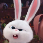YOBunnyVROT
