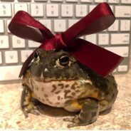 frog with bow