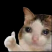 Na' VI ???????????????????? b