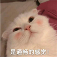 小绵羊
