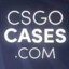 Papi csgocases_com