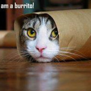 I am a fucking Burrito