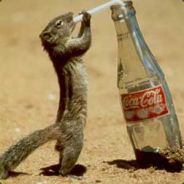 Geemu - steam id 76561197961856250