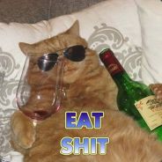 Where's Waldo?'s Avatar