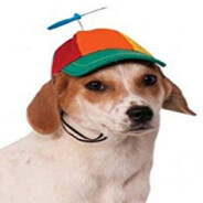 777