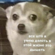 Pyotir