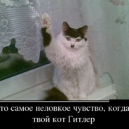 Steam Community :: C21H23NO5