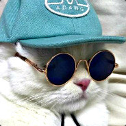 CAT in HAT