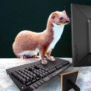 stoat ski