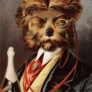 bradwoto