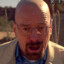 Walter White