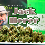 Jack Herer