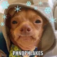Phnophlakes
