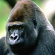 Darkmending's Avatar