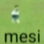 mesi