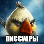 angi bird
