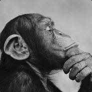 cage - steam id 76561197961858316