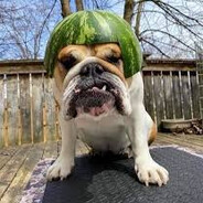 Watermeloooonnn ZUSIKQQ avatar