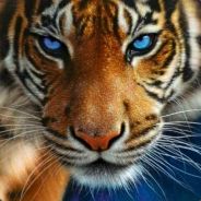 Tyger
