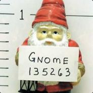 TheGnome - steam id 76561197965680253