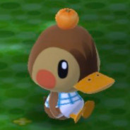 flan