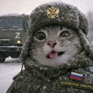 Steam profile avatar of meow