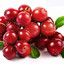 Cheerful Cranberry