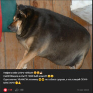сын блюрвы