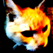 MadPingurso