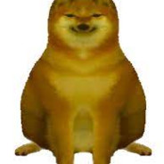 cheems