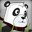 Panda Run