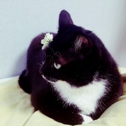 반짝