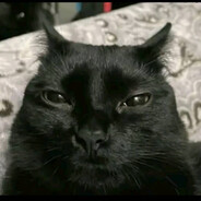 meow