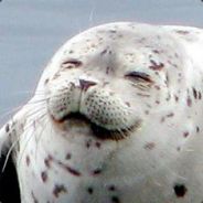 Happymancer