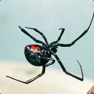 TzS | SpiideRR'