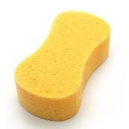 Sponge