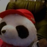Mr_SaT - steam id 76561197964411928