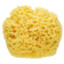 Sponge