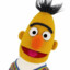 Bert