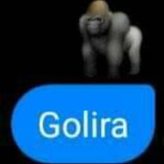 Orlando//Gorila
