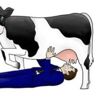 milksack