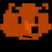 BIT Bear