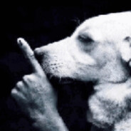 Shut up dogs