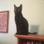 ZeshaTheCat