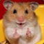 Hamster