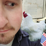 Bigchicken