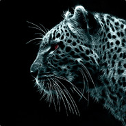 charlielabrador's Avatar