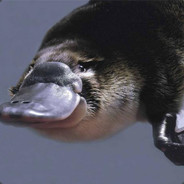 h3;