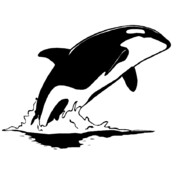 Orca